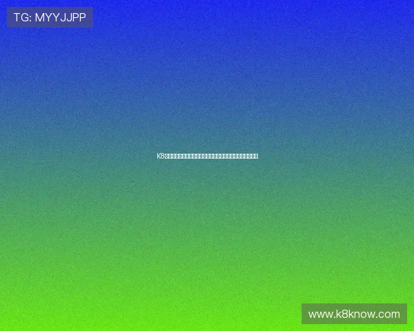 K8体育登录登录线路的安全防护措施，防止黑客攻击与数据泄露
